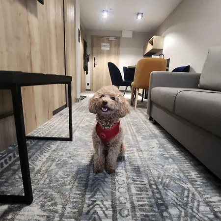 Blizej Chmur Szklarska Poreba-zloty Horyzont *