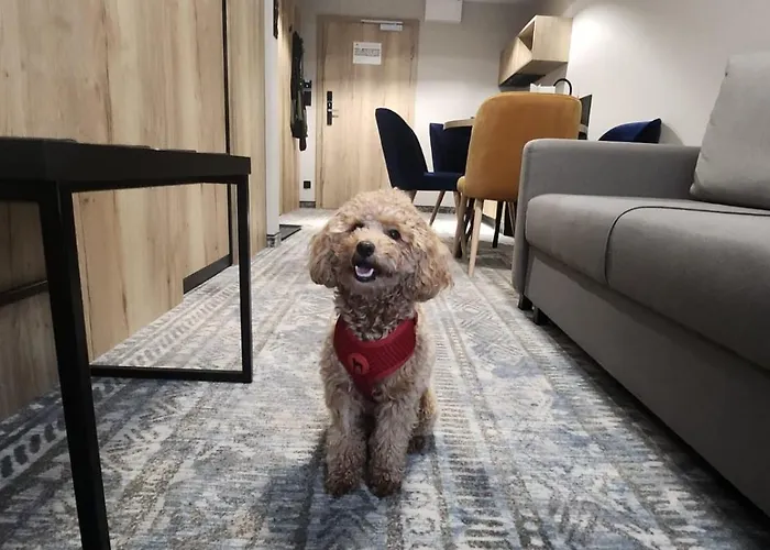 Blizej Chmur Szklarska Poreba-zloty Horyzont *